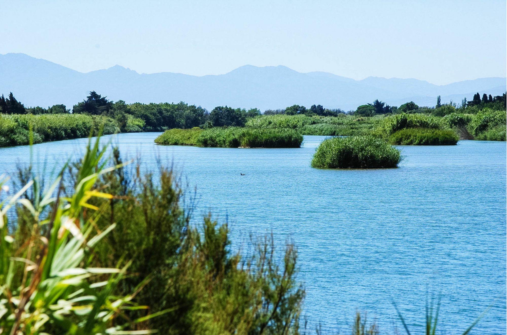 Ibis Styles Perpignan Canet En Roussillon Eksteriør bilde